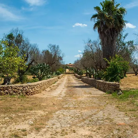 Il Trullo Degli Ulivi By Diddoi